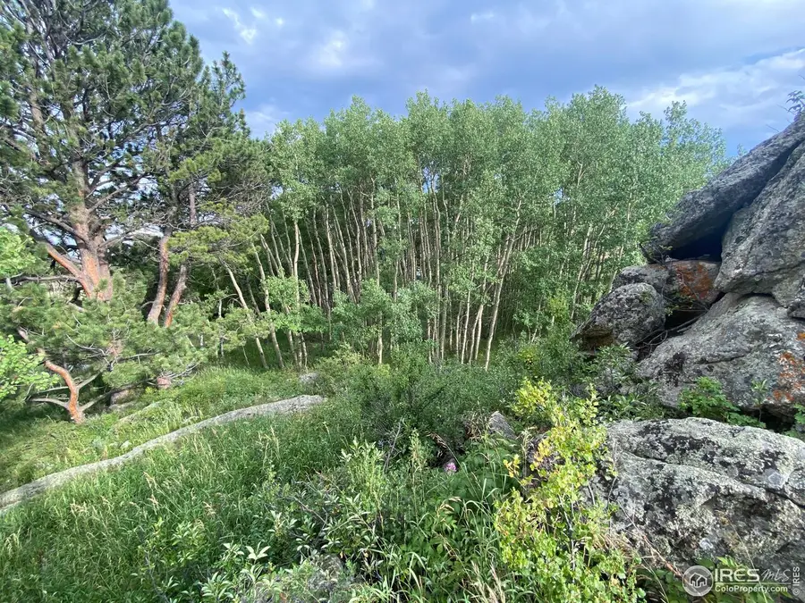 24 Hickok Trl, Ward, CO 80481 - #3