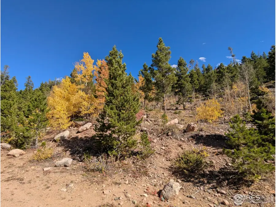 0 Bear Gulch Rd, Red Feather Lakes, CO 80545 - #3