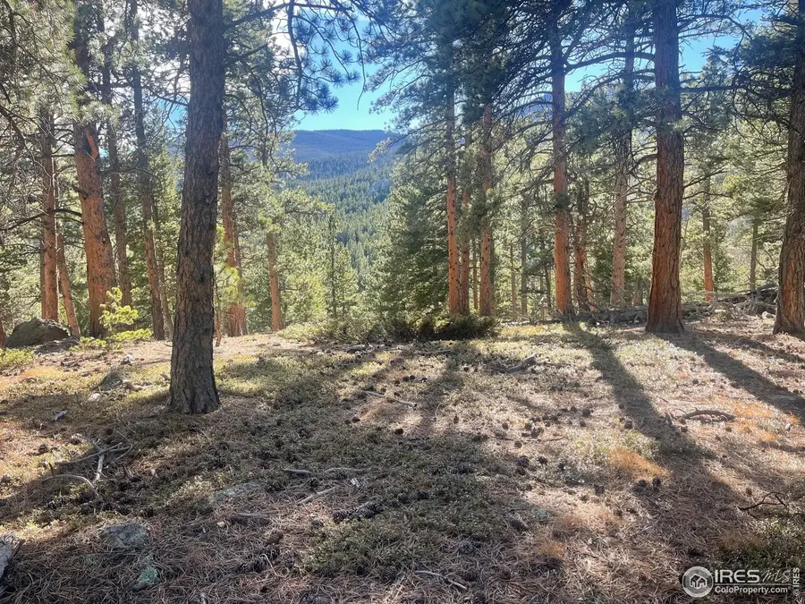 399 N Skinner Rd, Allenspark, CO 80510 - #2