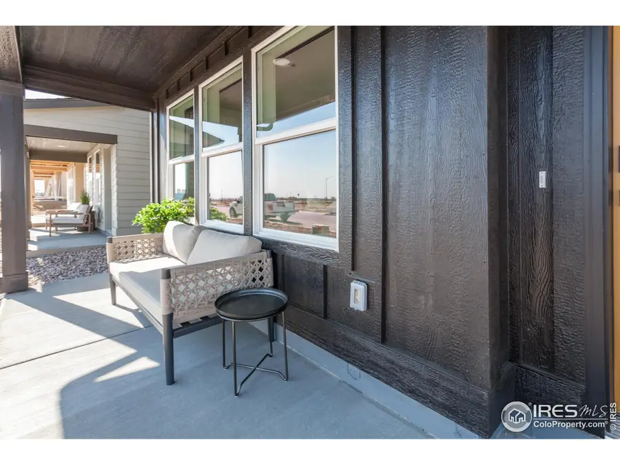 979 Trumpet Ln, Windsor, CO 80550 - #3