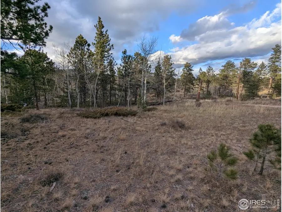 29 Santa Clara Ct, Red Feather Lakes, CO 80545 - Image #2