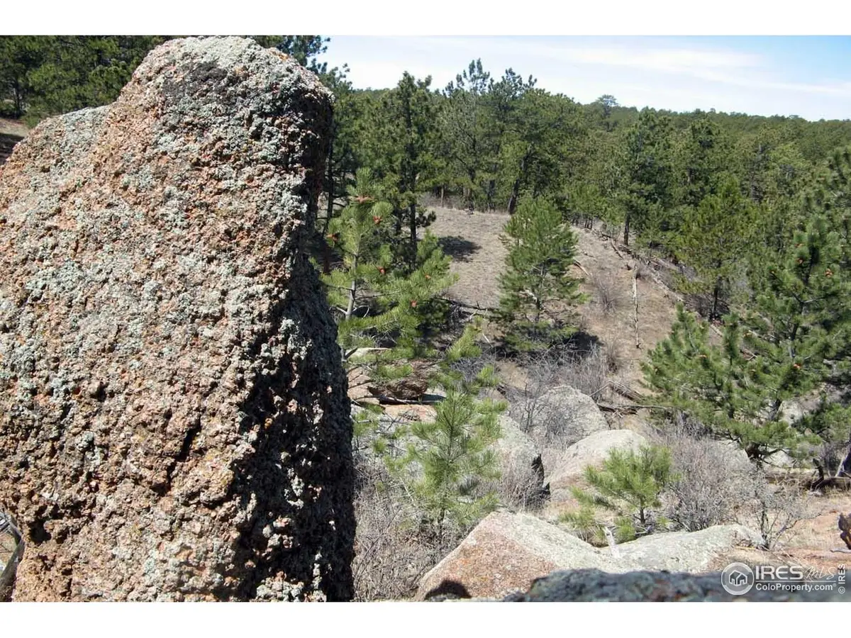 280 Timber Trl, Livermore, CO 80536 - #1