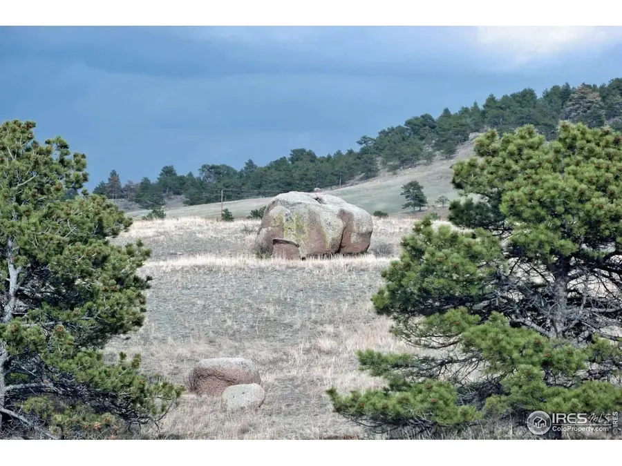 280 Timber Trl, Livermore, CO 80536 - #3