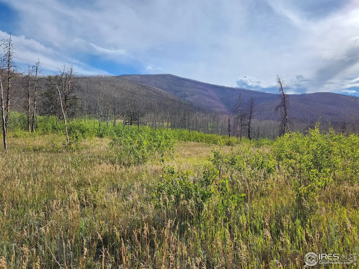 0 Crystal Mountain Rd, Bellvue, CO 80512 - Image #1