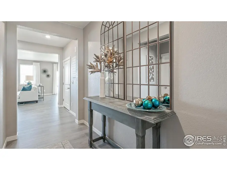 5973 Holstein Dr, Windsor, CO 80528 - Image #2