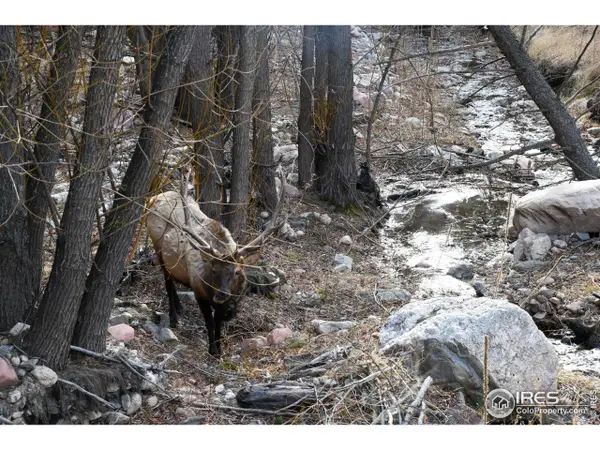 416 Black Creek Dr, Glen Haven, CO 80532