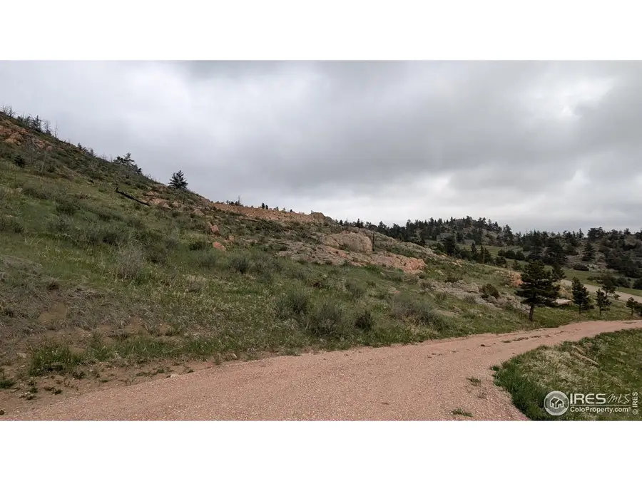 1191 Eiger Rd, Livermore, CO 80536 - #2