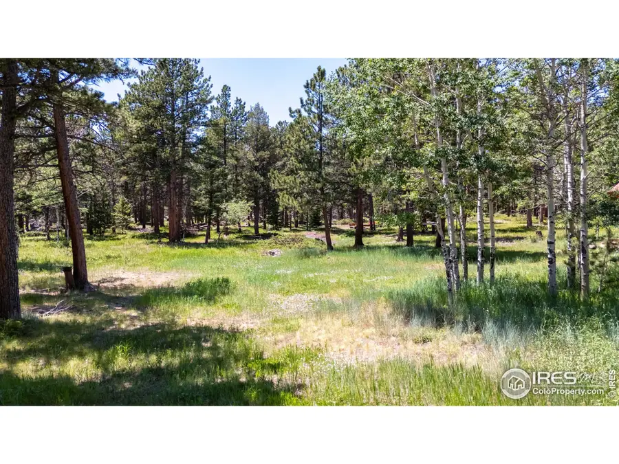 187 Lynx Dr, Ward, CO 80481 - Image #3