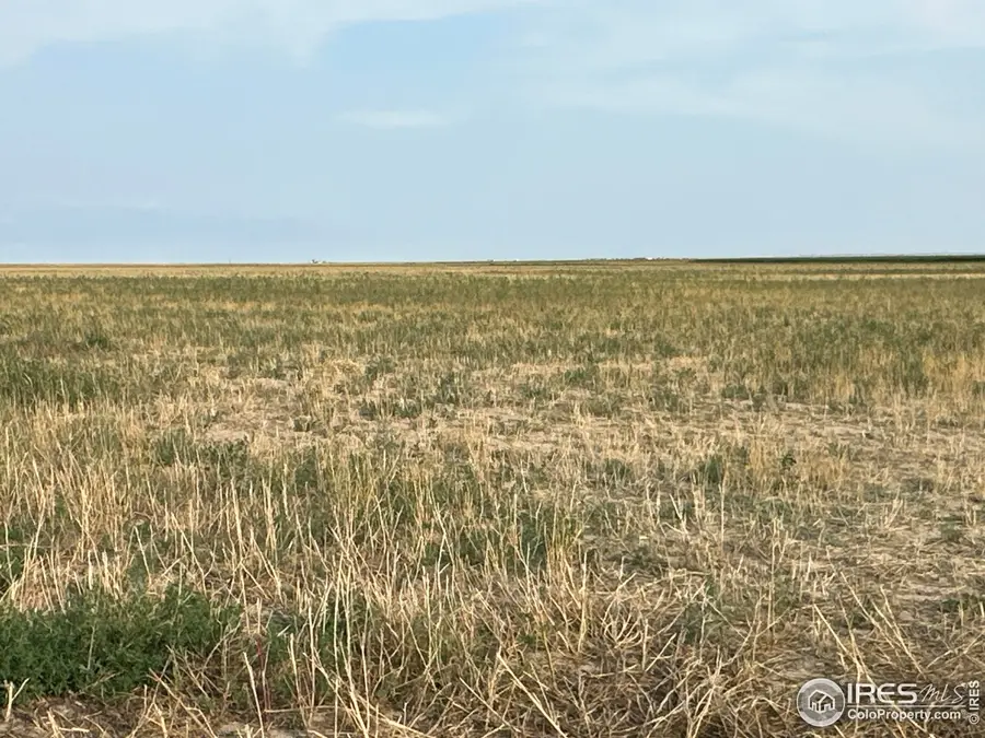 10 Pp Rd, Seibert, CO 80834 - #3