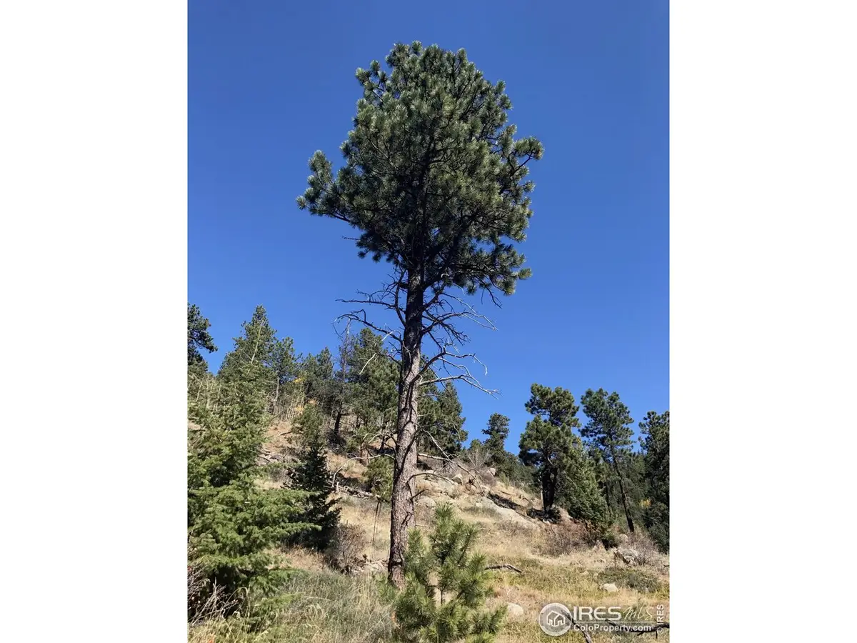 0 Good Friday Rd, Boulder, CO 80302 - Image #1