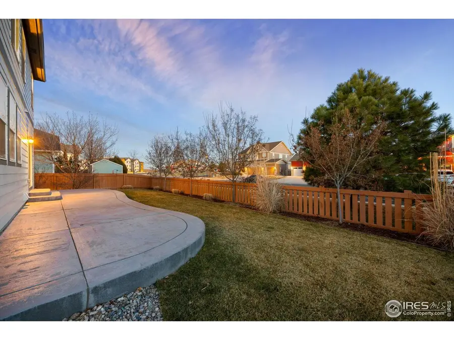 1555 Benfleet Ct, Windsor, CO 80550 - #3