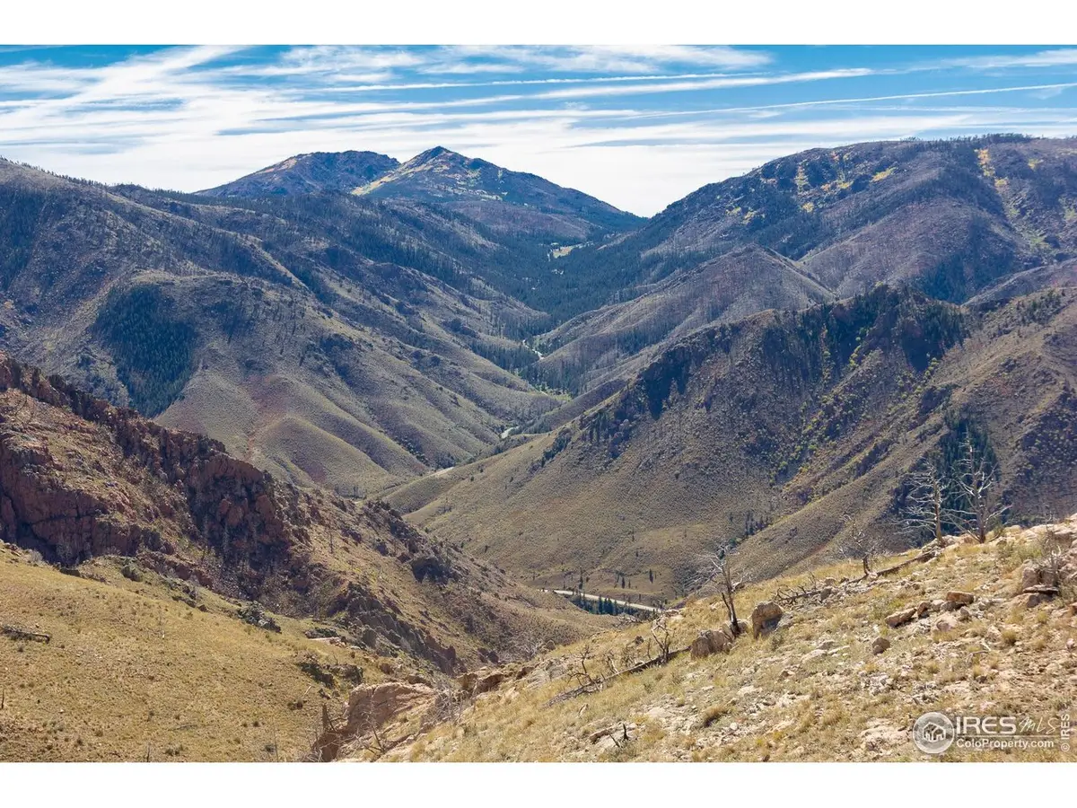 45 Bull Rock Ct, Livermore, CO 80536 - Image #1