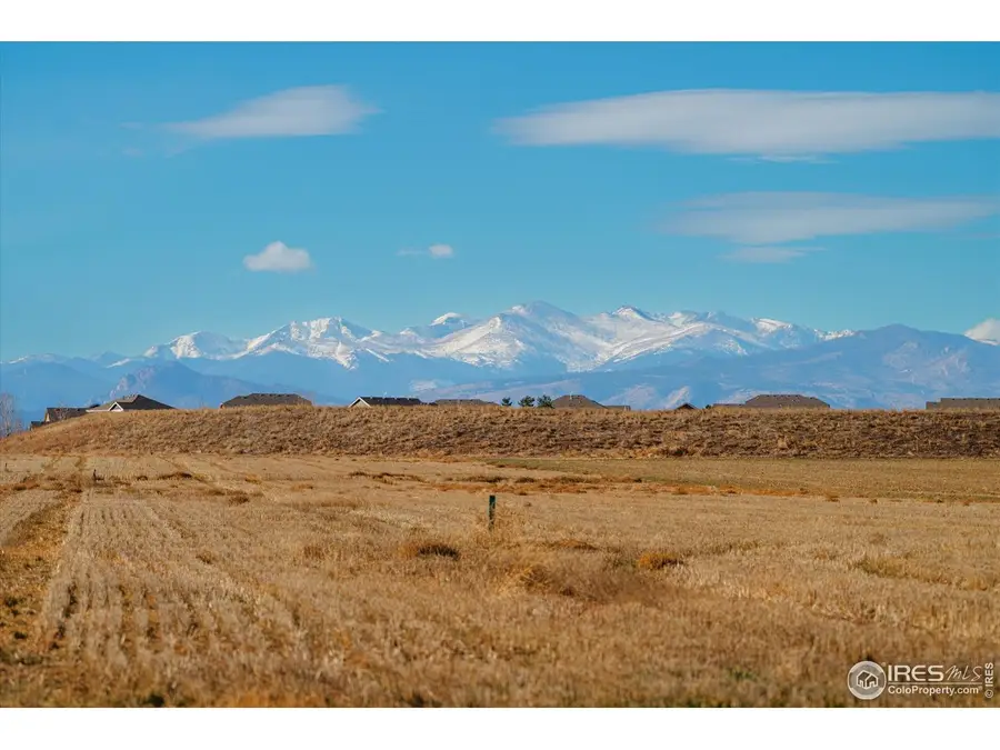 946 Tail Water Dr, Windsor, CO 80550 - Image #3