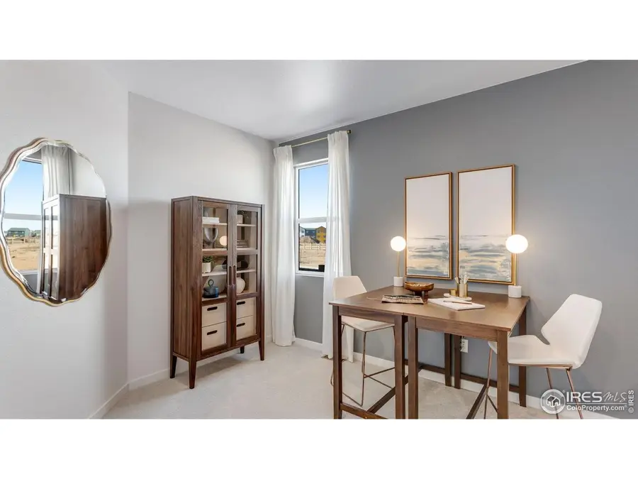 1423 Mullers Dr, Windsor, CO 80550 - #3