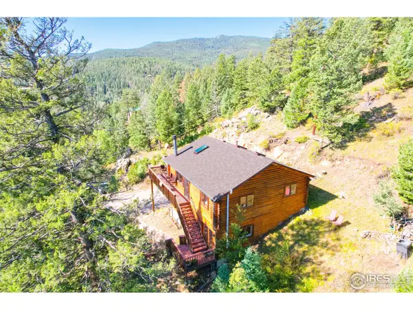 10221 Blue Sky Trl, Conifer, CO 80433