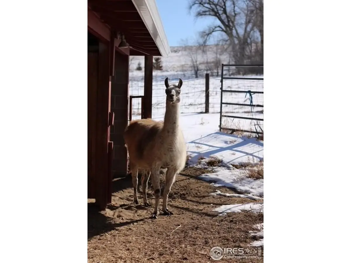 1034 Spring Dr, Boulder, CO 80303 - Image #1