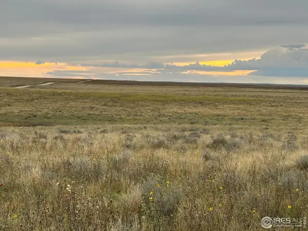 18807 County Road P Rd, Kit Carson, CO 80825