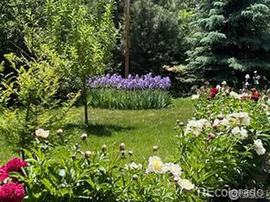 2020 Highway 42, Louisville, CO 80027 - #2