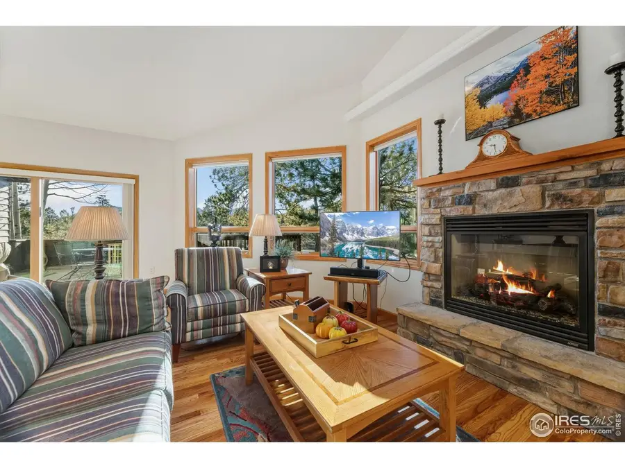 252 Steamer Ct, Estes Park, CO 80517 - Image #3