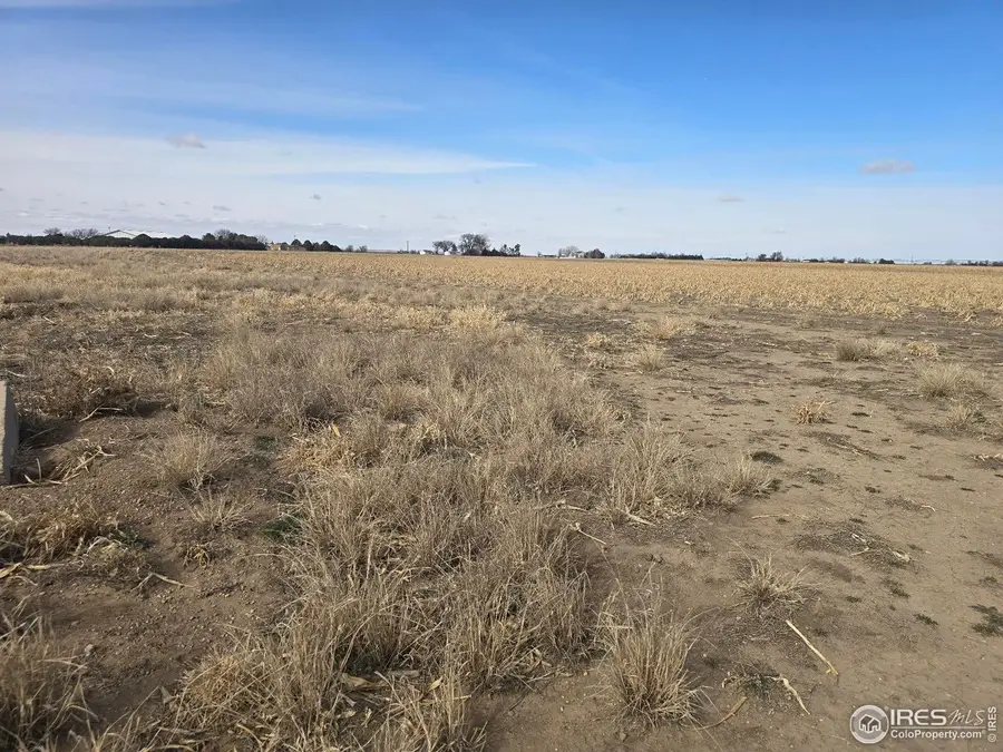 9482 Highway 52, Wiggins, CO 80654 - #3