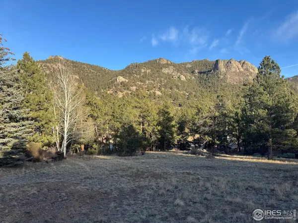 0 Wildwood Dr, Estes Park, CO 80517