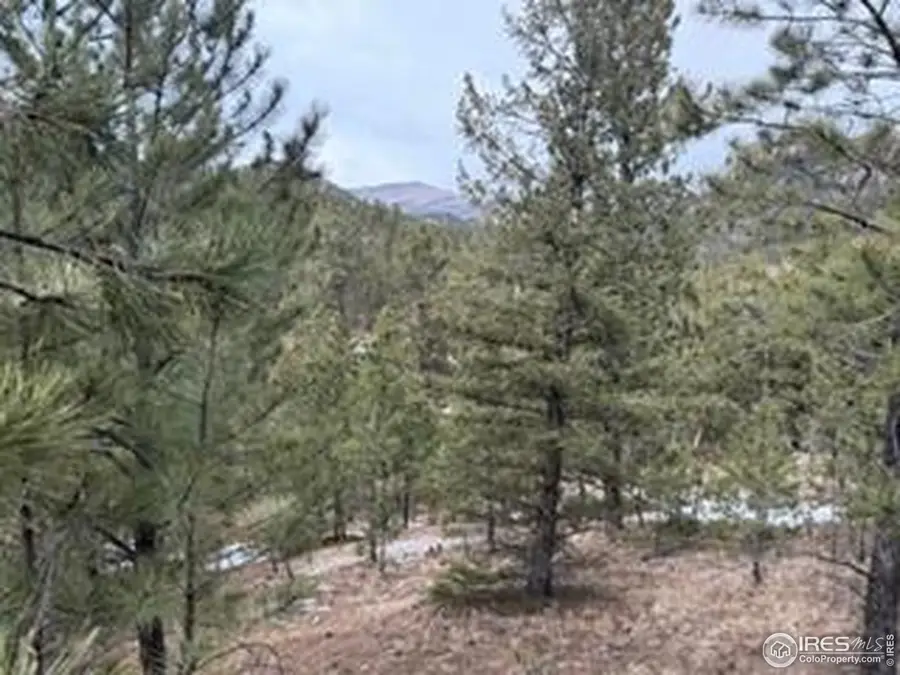 7294 County Road 43, Glen Haven, CO 80532 - #3