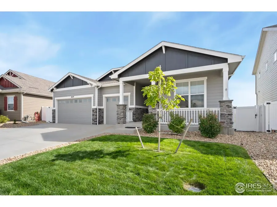 1829 Holloway Dr, Windsor, CO 80550 - Image #3