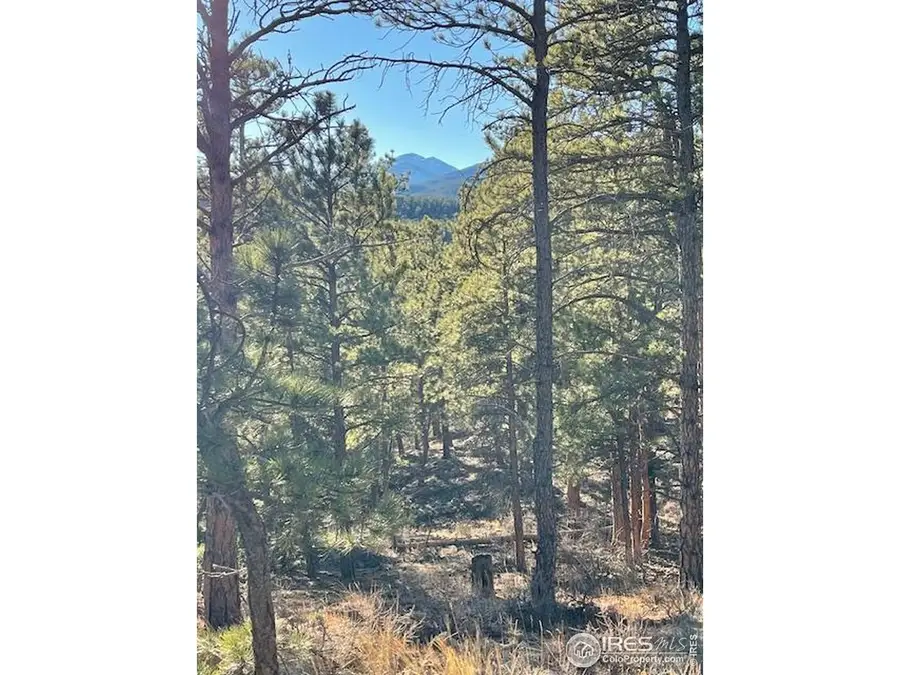 0 Pine Dr, Lyons, CO 80540 - #2