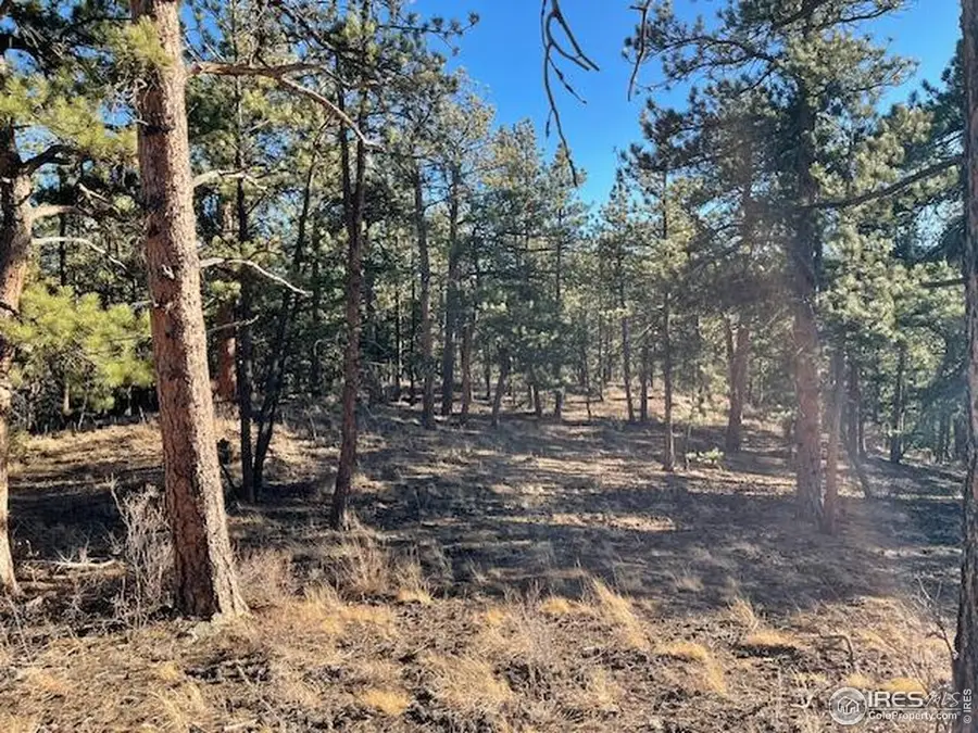0 Pine Dr, Lyons, CO 80540 - #3