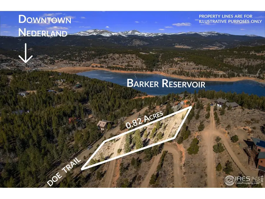 58 Doe Trl, Nederland, CO 80466 - #2