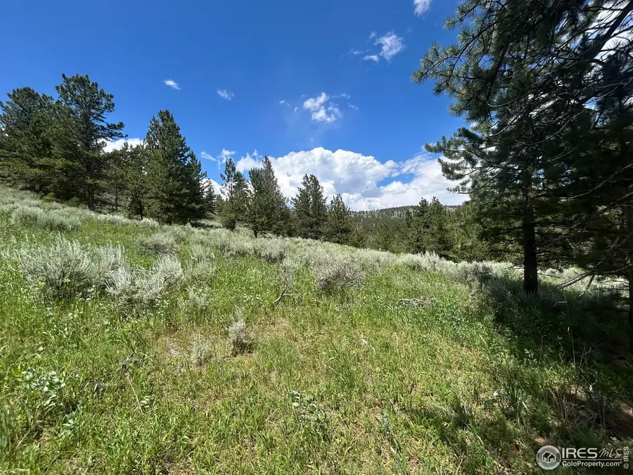 416 Comanche Cir, Red Feather Lakes, CO 80545 - #2