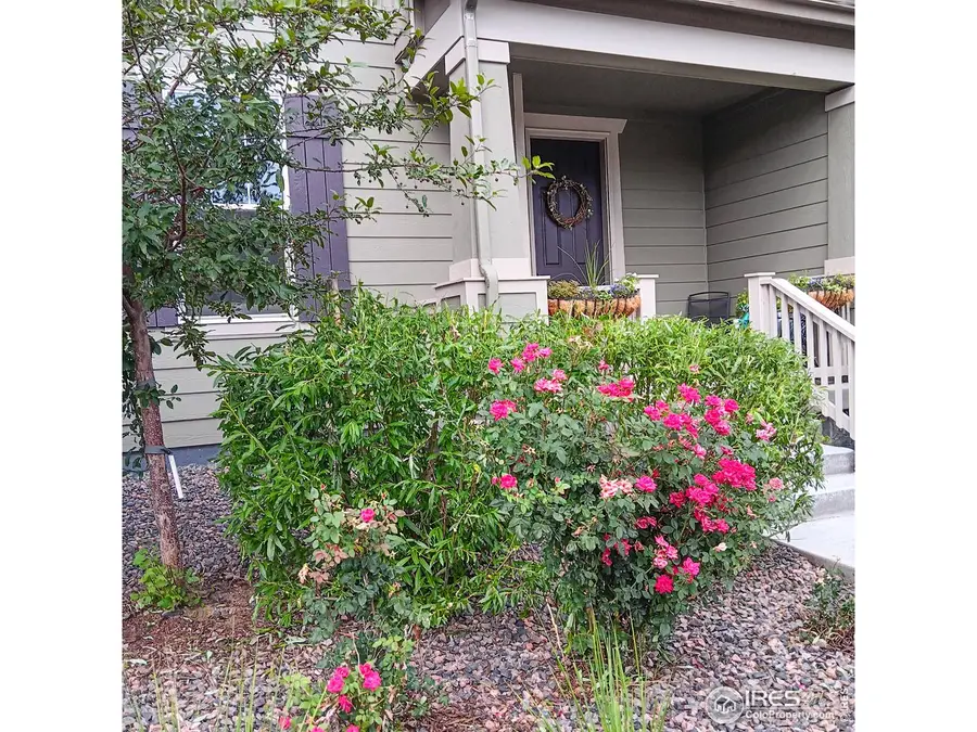 1154 Anker Dr, Erie, CO 80516 - #3