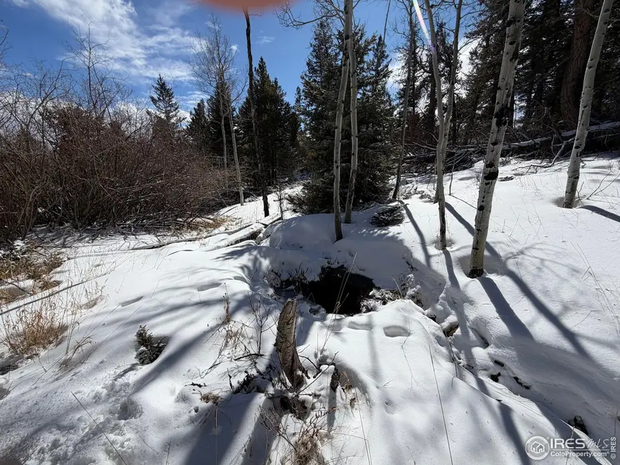 171 Spokane Ct, Red Feather Lakes, CO 80545 - #3