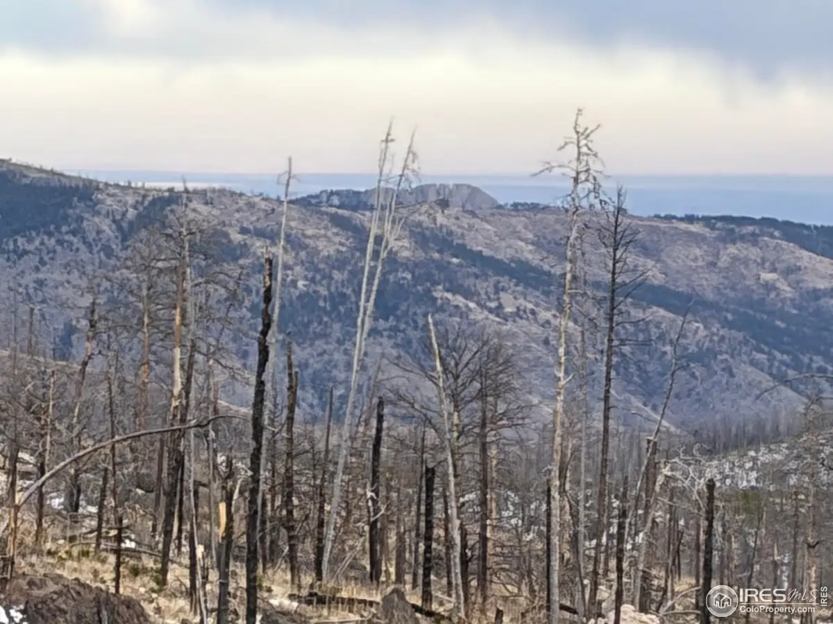 2025 Granite Rd, Bellvue, CO 80512 - #1