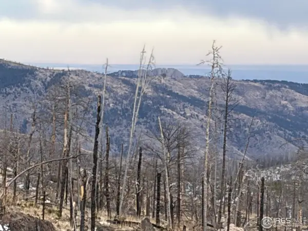 2025 Granite Rd, Bellvue, CO 80512