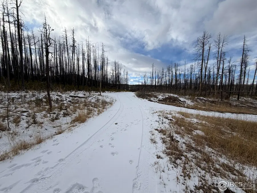 2025 Granite Rd, Bellvue, CO 80512 - #2