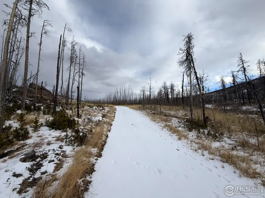 2025 Granite Rd, Bellvue, CO 80512 - #3