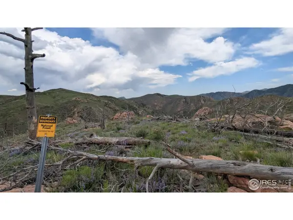 1360 Meadow Mountain Dr, Livermore, CO 80536