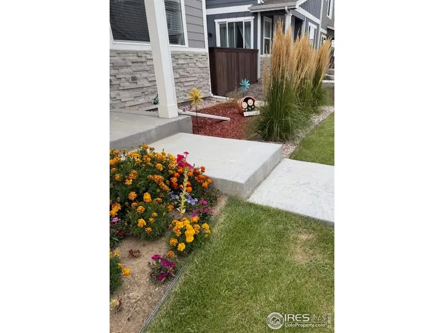 1163 Summit Vista Dr, Berthoud, CO 80513 - #3