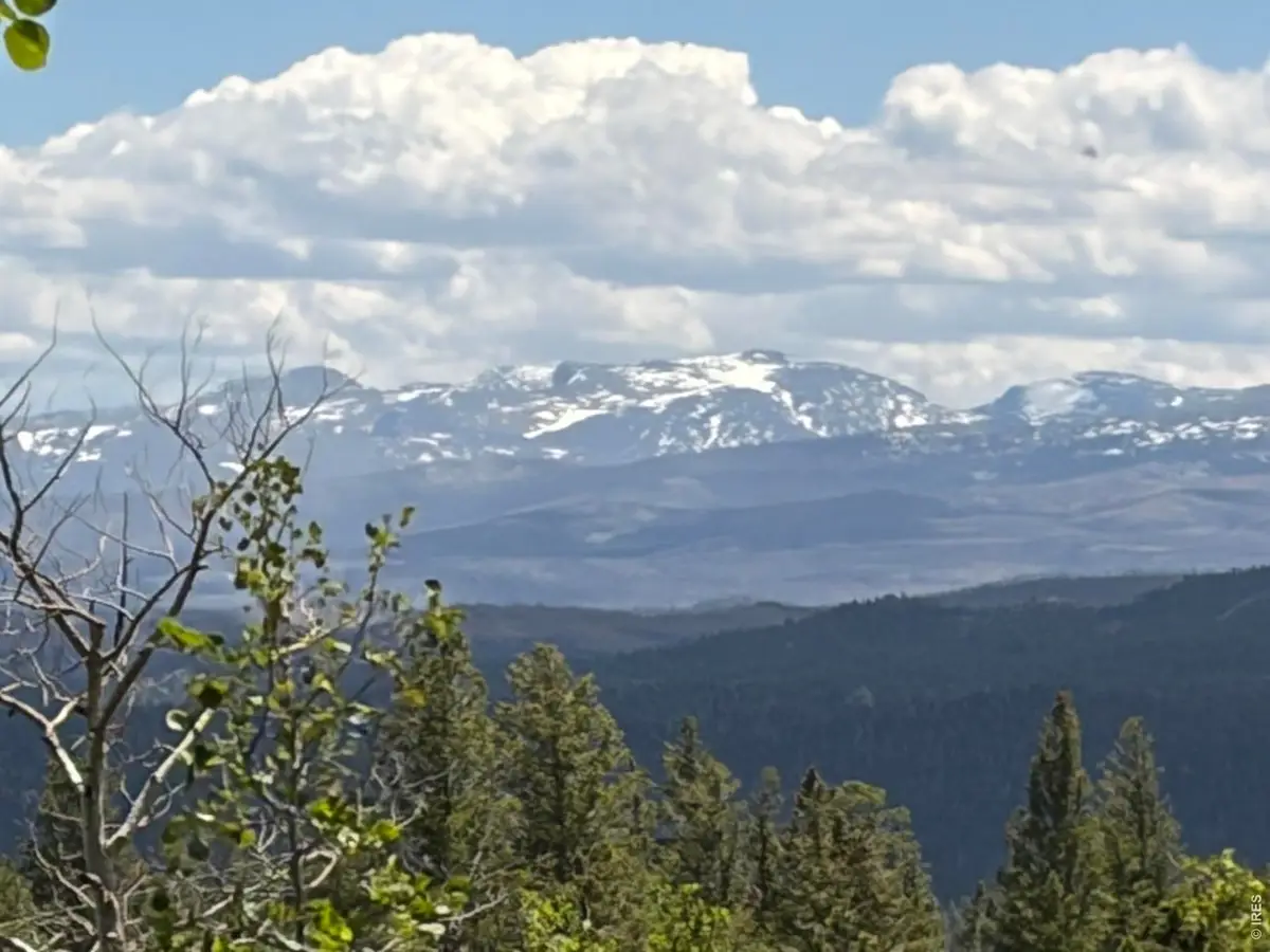 115 Wenro Ct, Red Feather Lakes, CO 80545 - #1