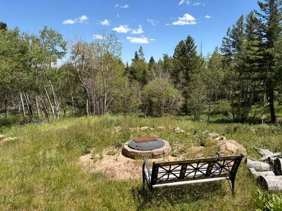 115 Wenro Ct, Red Feather Lakes, CO 80545 - #3