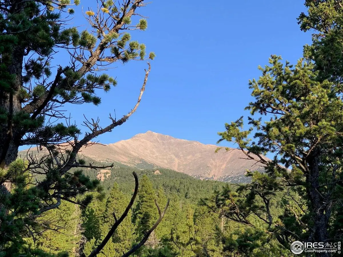 12190 Highway 7, Allenspark, CO 80510 - #1