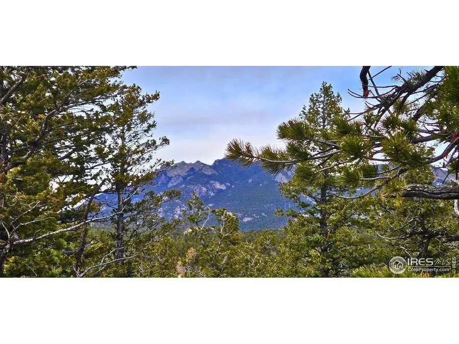 12190 Highway 7, Allenspark, CO 80510 - #3