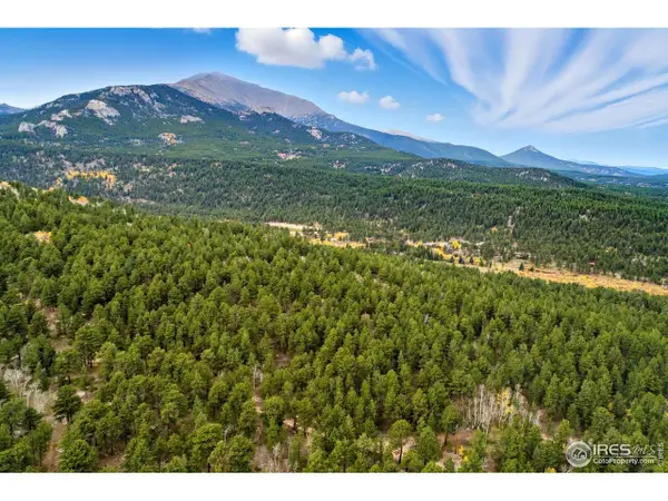 0 County Road 84 W, Allenspark, CO 80510