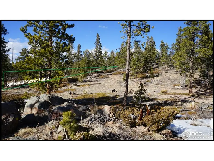 129 Kiliwa Ct, Red Feather Lakes, CO 80545 - #3