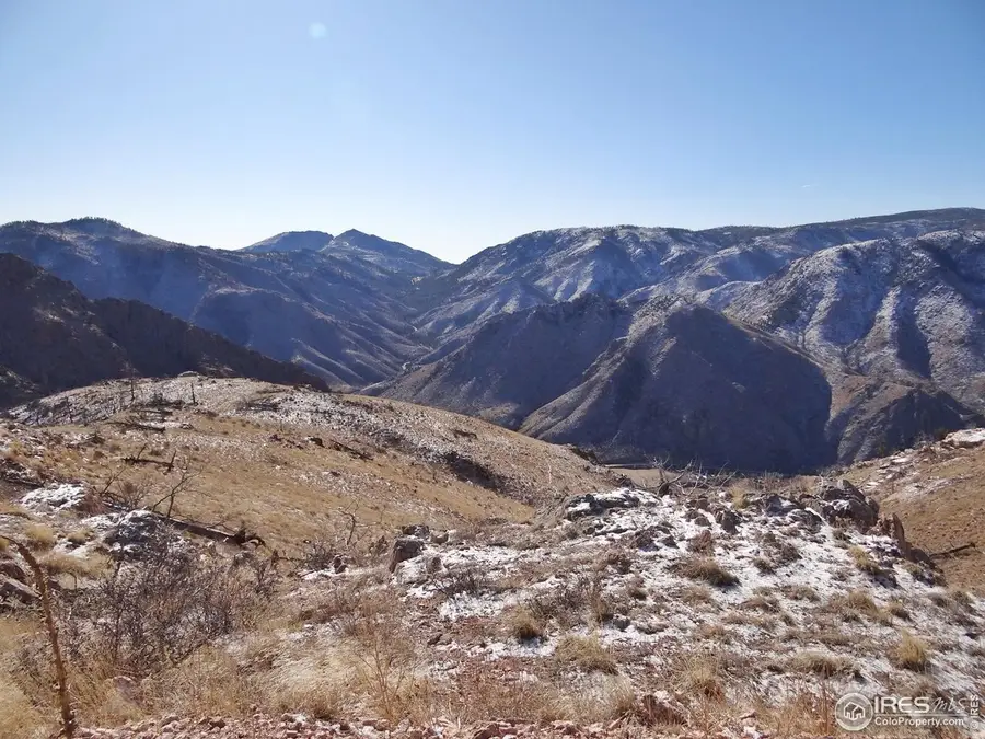 83 Bull Rock Ct, Livermore, CO 80536 - #2