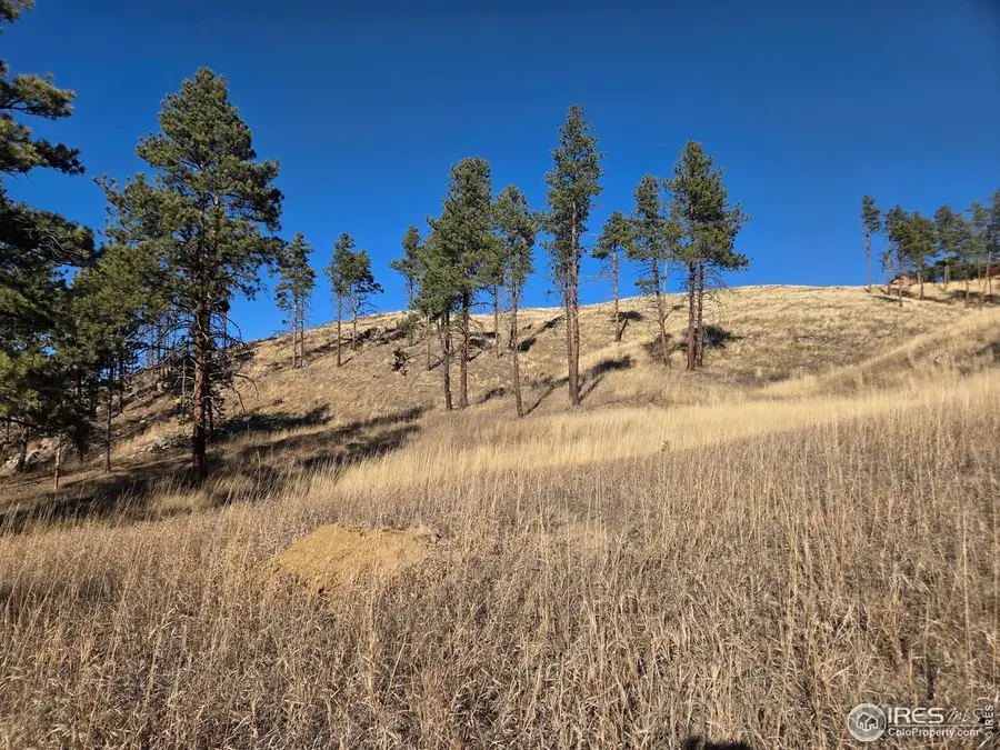 620 Davis Ranch Rd, Bellvue, CO 80512 - #3