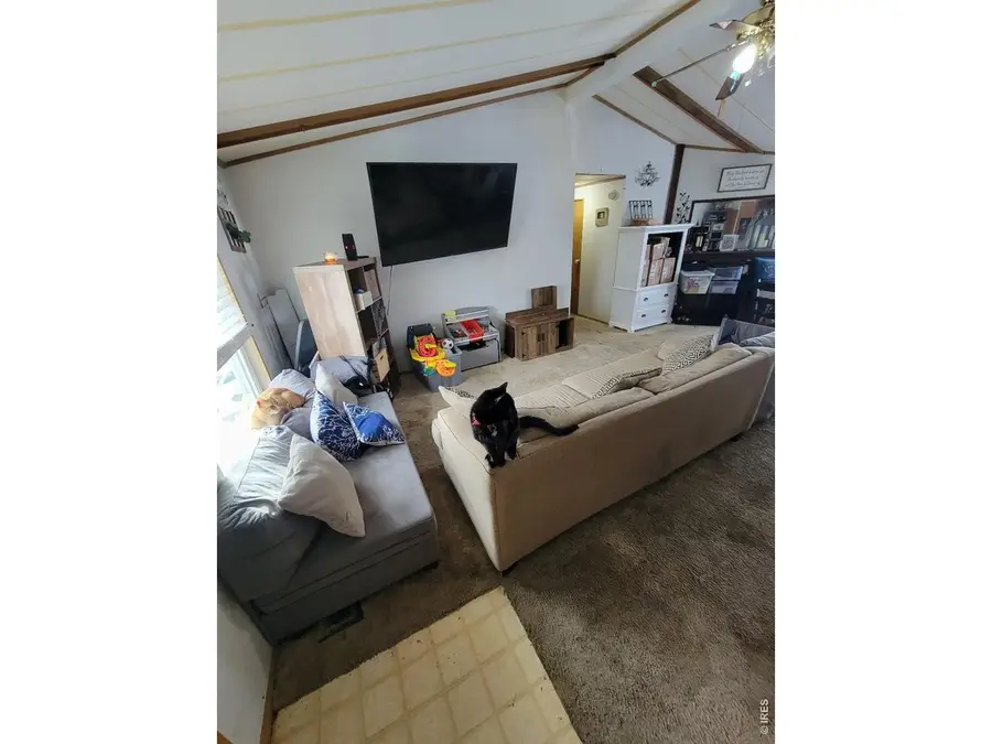 3703 Denise Ave, Loveland, CO 80537 - #2