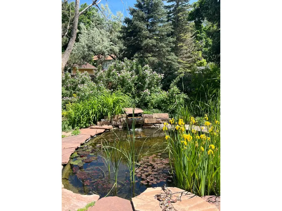 606 Marigold Ln, Fort Collins, CO 80526 - #2