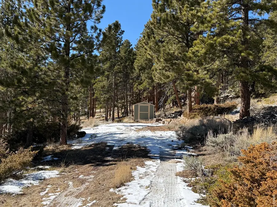 711 Osage Trl, Red Feather Lakes, CO 80545 - #2